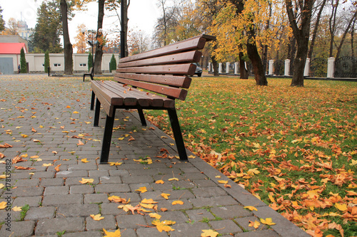 Wooden bench in city park on background of lawn and autumn leaves.
