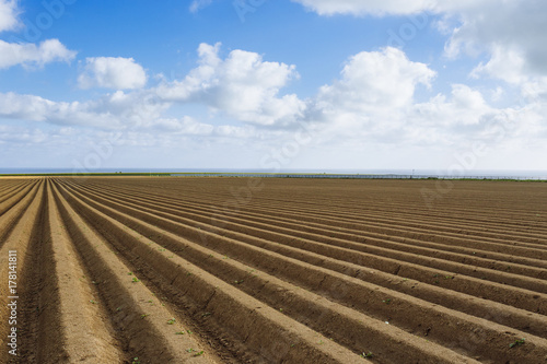 Plowed agricultural fields prepared for planting crops in Normandy  France. Countryside landscape with cloudy sky  farmlands in spring. Environment friendly farming and industrial agriculture concept.