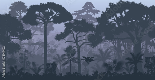 Vector evening tropical rainforest Jungle background 