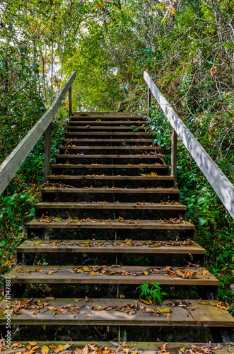 Centered Wooden stairs on a forest path