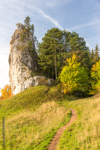 Obraz na płótnie Vrsatec mountain in Slovakia during autumn w salonie