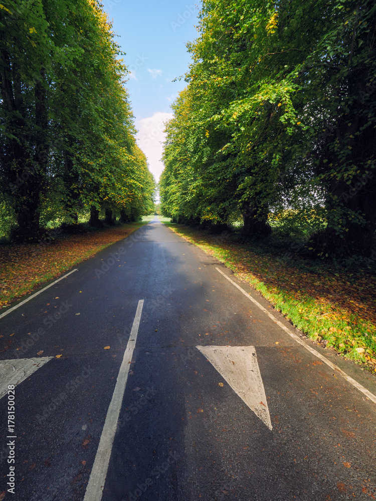 Obraz premium Early Autumn countryside morning,Northern Ireland