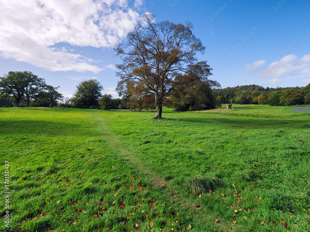 Early Autumn countryside morning,Northern Ireland Early Autumn countryside morning,Northern Ireland