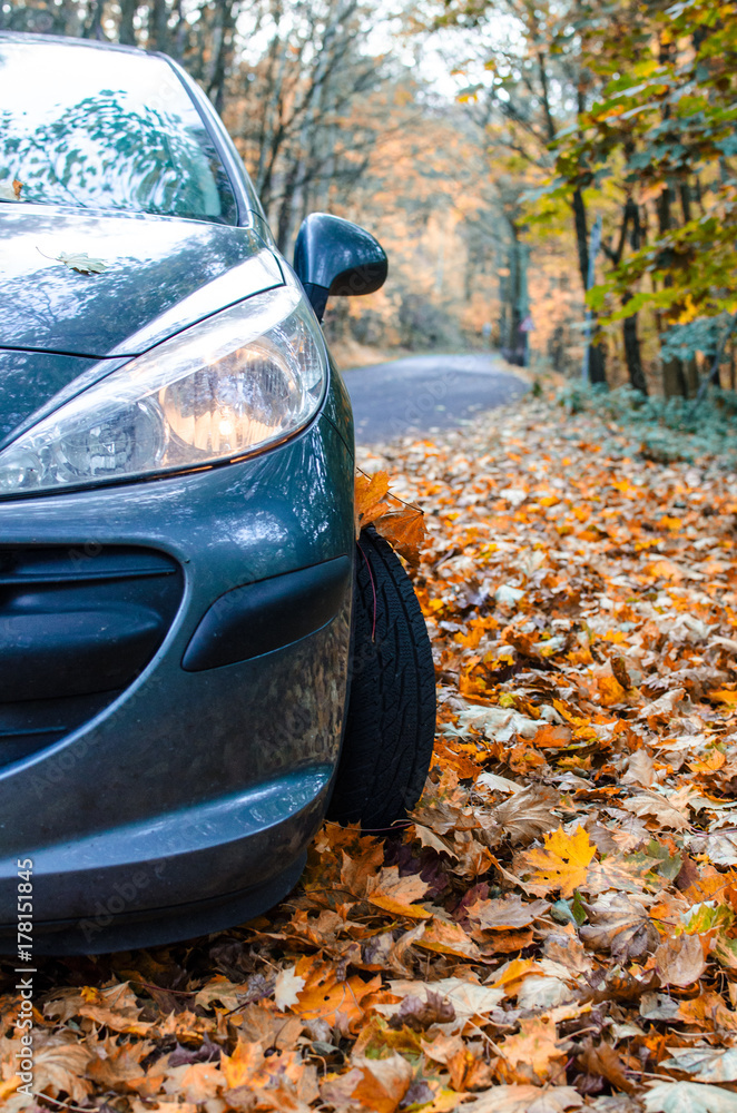 Car in autumn leaves