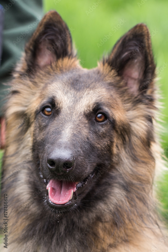 tervuren tervuren