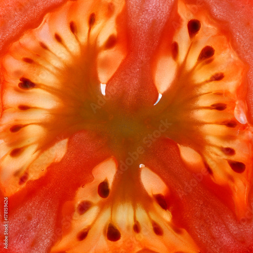Macro of a thin tomato slice