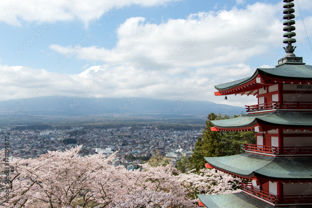 Chureito pagoda and cherry blossom as foreground and mount fuji as background, travel destination in japan