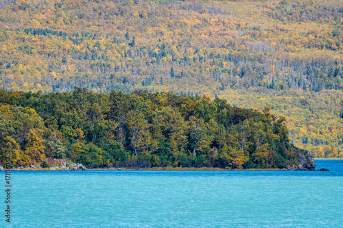 Fall trees in an Alaska landscape with a glacial blue 