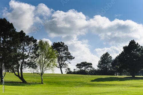 General view of a green golf course on a bright sunny day. Idyllic summer landscape. Sport  relax  recreation and leisure concept