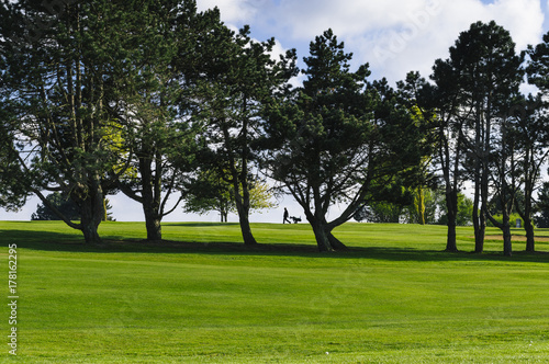 General view of a green golf course on a bright sunny day. Idyllic summer landscape. Sport, relax, recreation and leisure concept