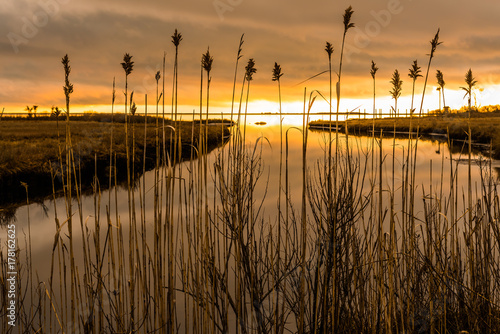 Sea marsh at twilight photo