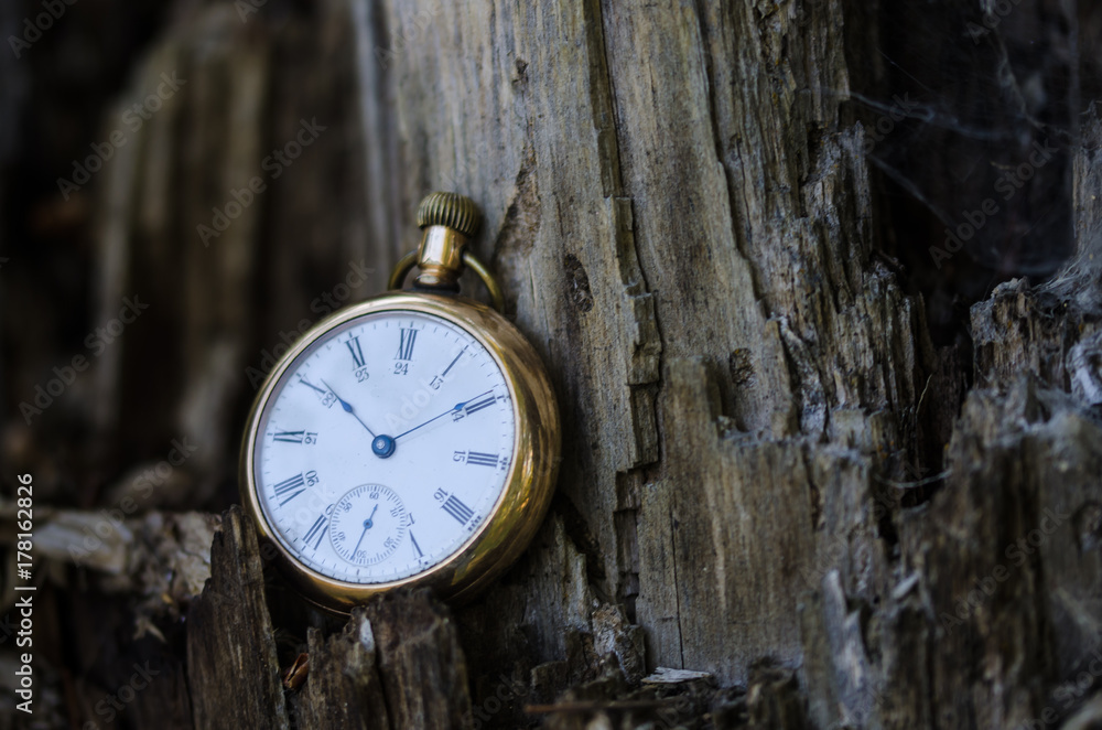 Relentless and Unstoppable Passage of Time Relentless and Unstoppable Passage of Time