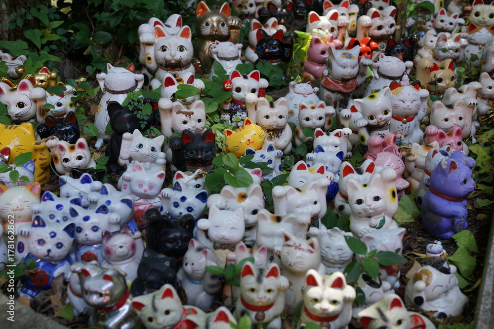 マネキネコ　招き猫　縁起物　瀬戸物　焼き物　供養　淡嶋神社　加太神社　人形供養　和歌山　日本　日本人形