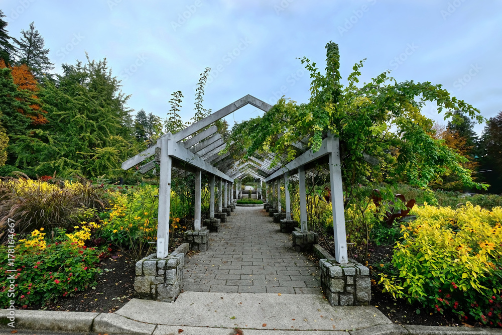 Rose garden in Stanley Park. Vancouver. British Columbia. Canada