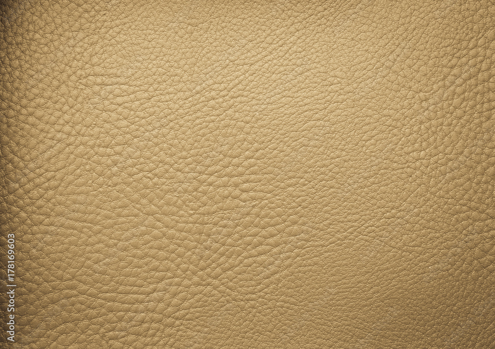 leather texture leather texture