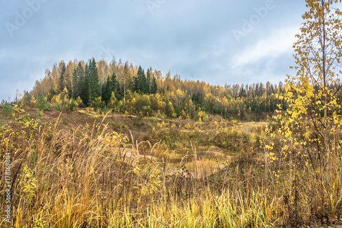 Golden autumn in the Kostroma region.