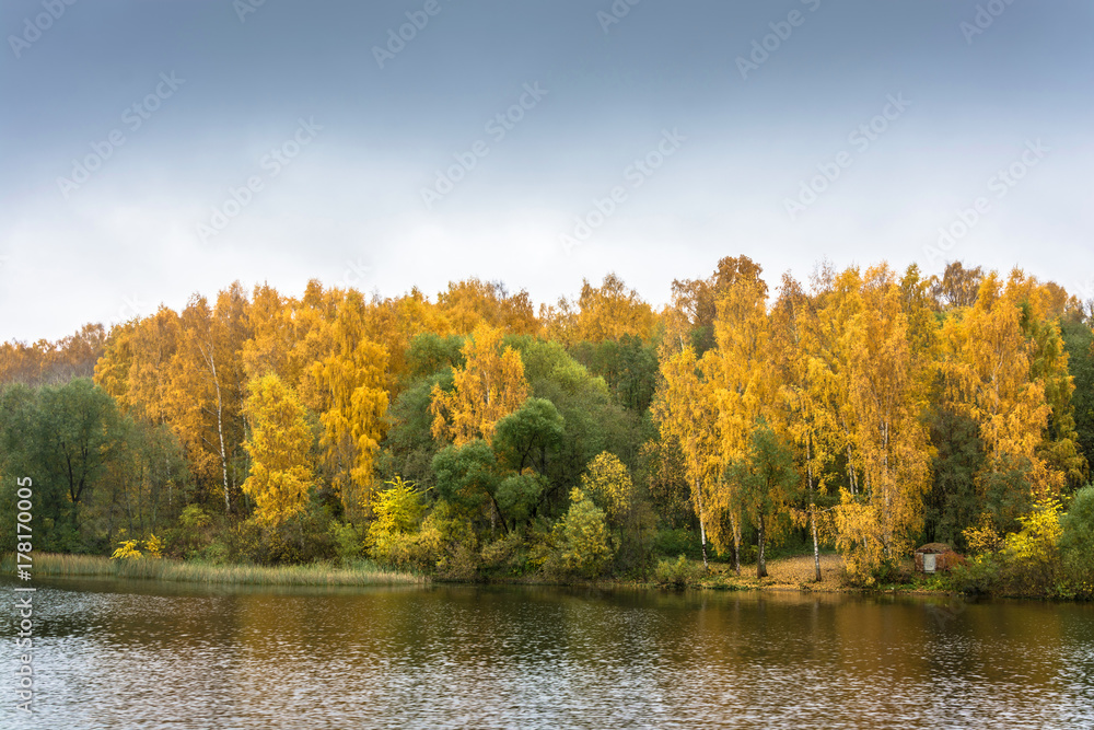 The Bank of the river with the Golden crown of the trees. The Bank of the river with the Golden crown of the trees.