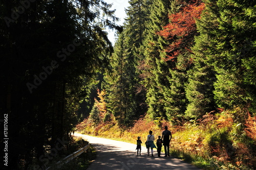 walk in sunny autumn forest © Irina Apraksina