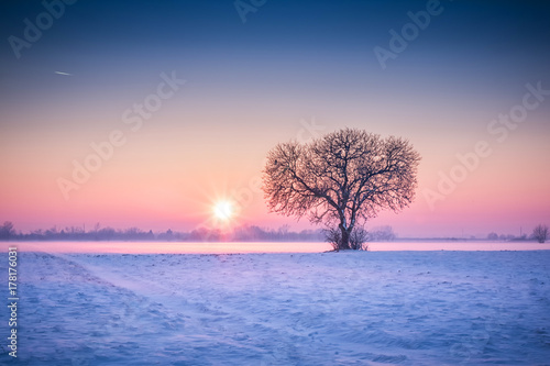Amazing winter landscape with lonely tree and snow fields at colorful sunset and blue skies. 