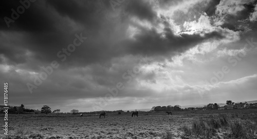 Black and white countryside scene