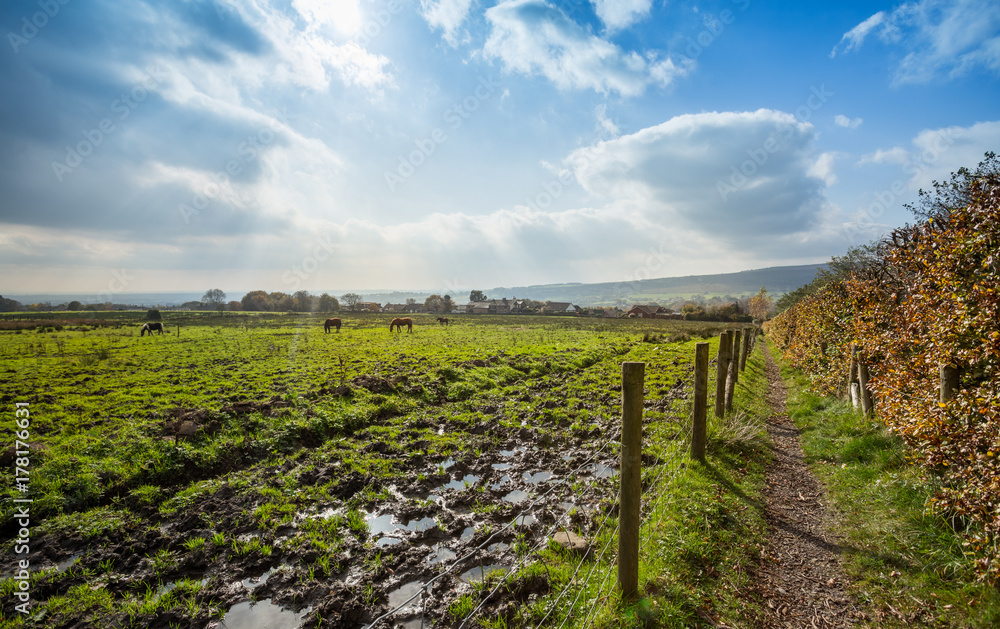 Naklejka premium English Countryside