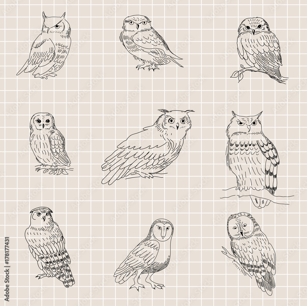 Seamless texture with painted owls on a background of a sheet of paper Seamless texture with painted owls on a background of a sheet of paper