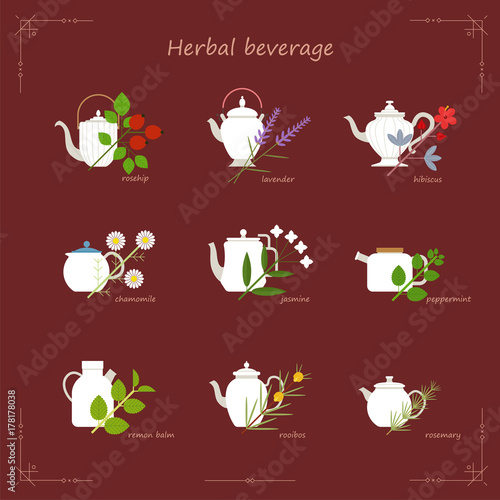 many kind of herb tea and tea pot vector flat design illustration set 