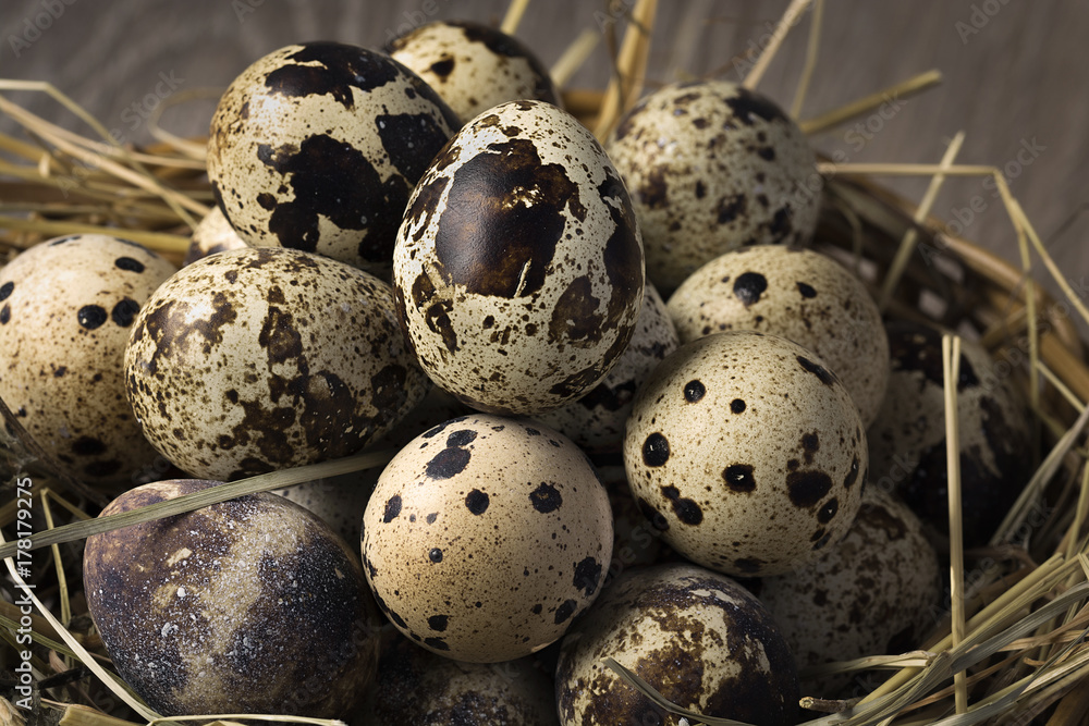 Quail eggs in a nest on a rustic wooden background. Healthy food concept. Quail eggs in a nest on a rustic wooden background. Healthy food concept.