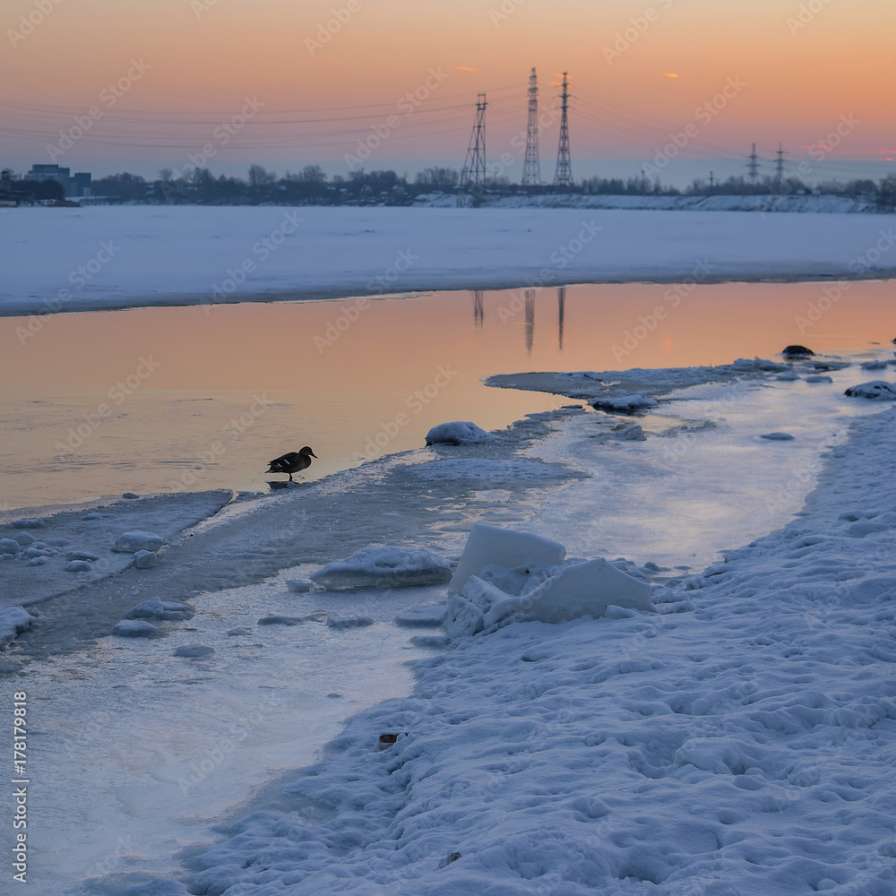 Winter morning Winter morning
