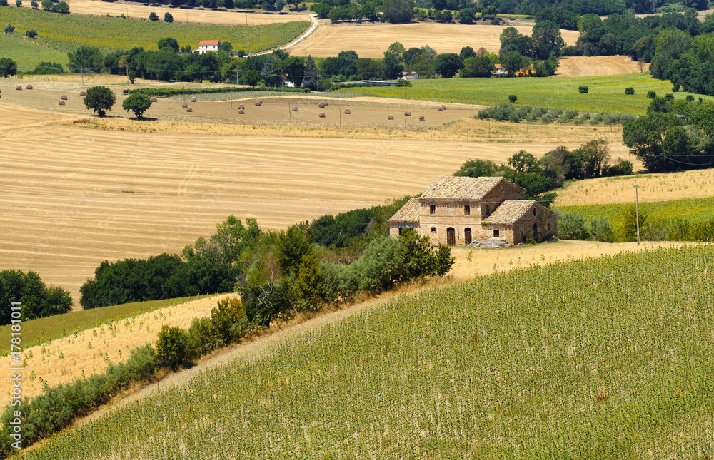 Summer landscape in Marches (Italy) near Ostra