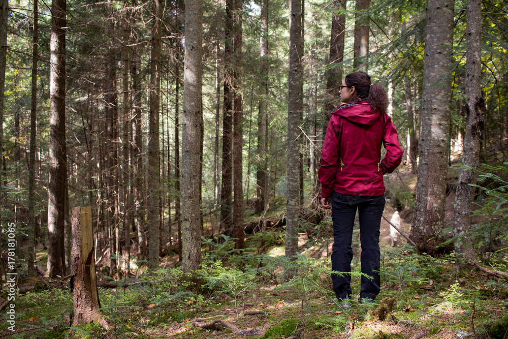 young woman hiker in autumn forest young woman hiker in autumn forest