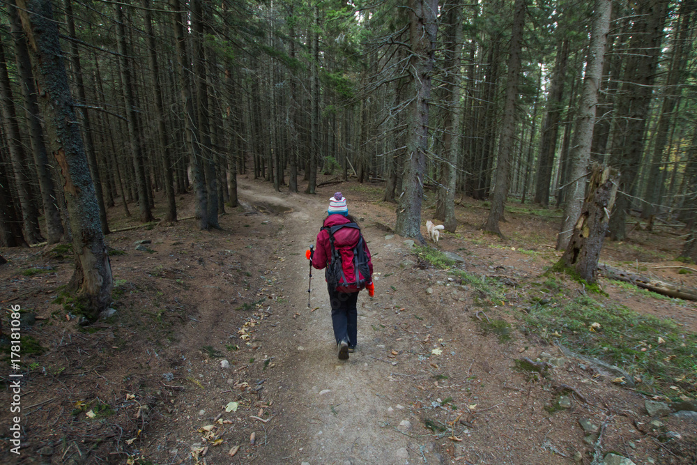 young woman hiker in autumn forest  