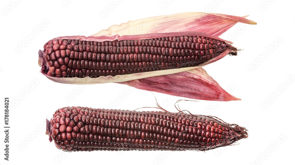 Fototapeta premium Purple corn on a white background.