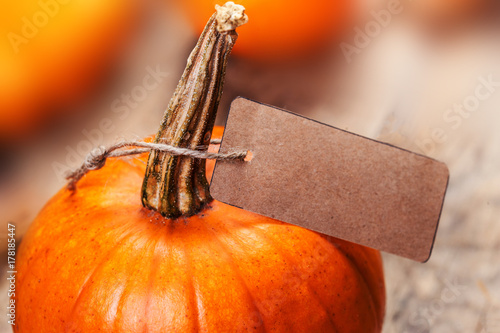 Canvastavla Happy Thanksgiving holiday card with orange pumpkins and paper price tag, autumn shopping concept
