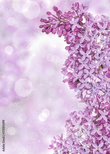 lilac flowers with star fires on blured light background © Alexander Potapov