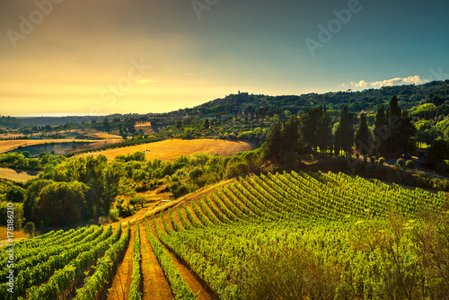 Wioska Casale Marittimo, winnice i krajobraz w Maremma. Toskania, Włochy