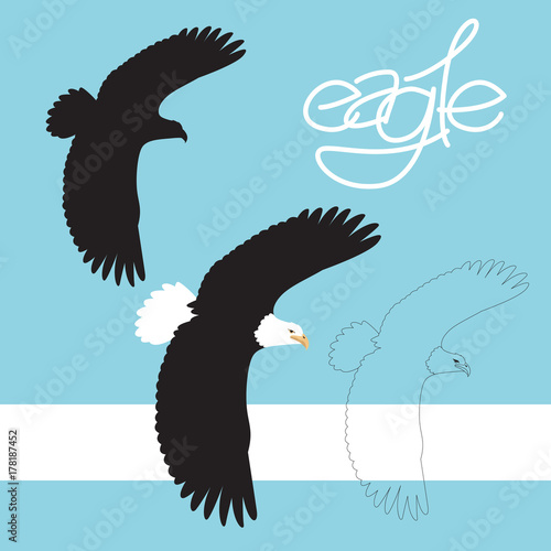 eagle vector illustration style flat black silhouette line