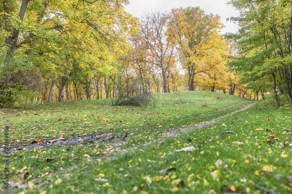 Beautiful autumn scenery Beautiful autumn scenery