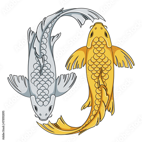 Colored illustration with gold and silver colored koi carp fish. Isolated vector objects on white background.