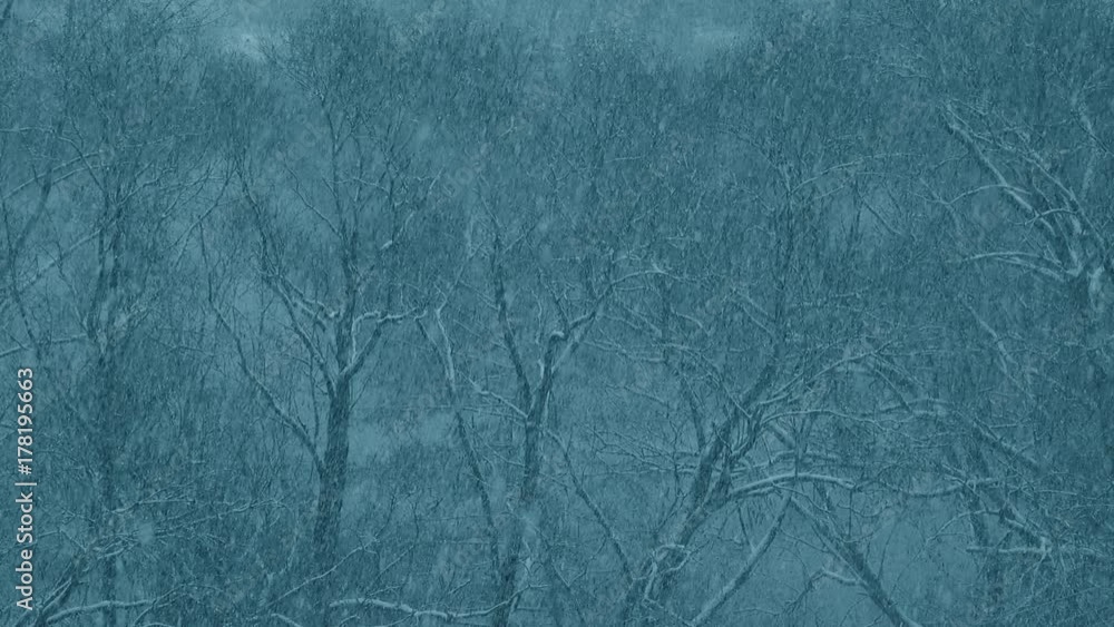 Night snowfall. Early winter. Background Night snowfall. Early winter. Background