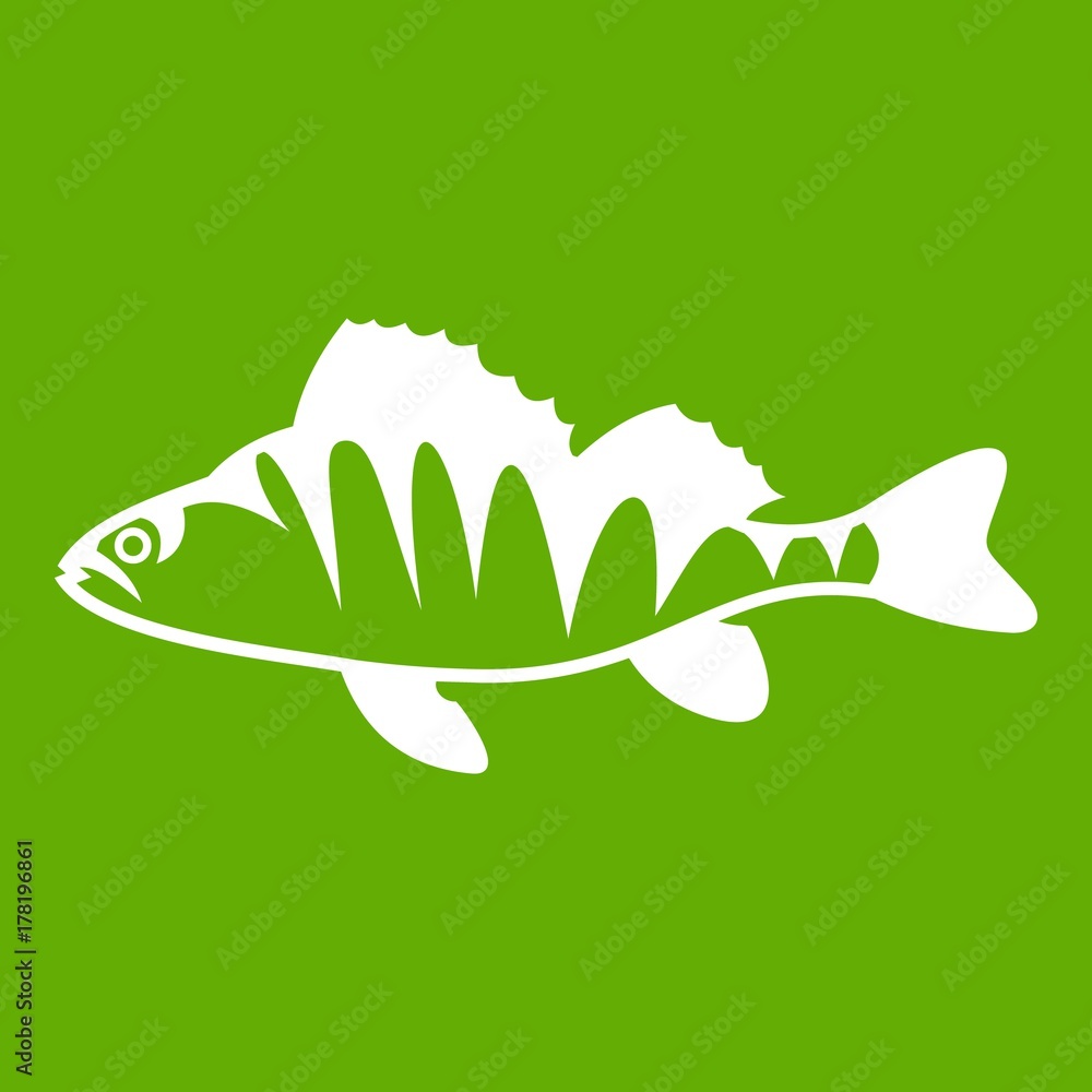 European perch, Perca fluviatilis icon green European perch, Perca fluviatilis icon green