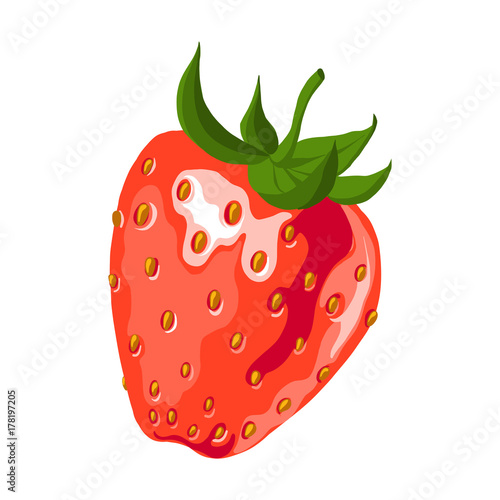 vector red strawberry