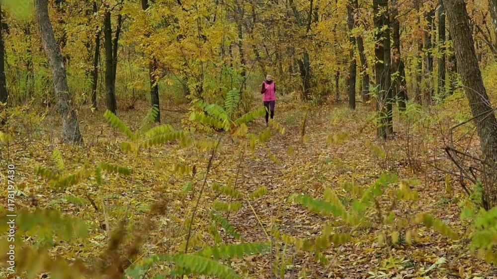 Slow motion Running - woman runner jogging on autumn forest path. Fit female sport fitness model athlete trail running training. Runner gril in sportswear running in park exercising outdoors. Slow motion Running - woman runner jogging on autumn forest path. Fit female sport fitness model athlete trail running training. Runner gril in sportswear running in park exercising outdoors.