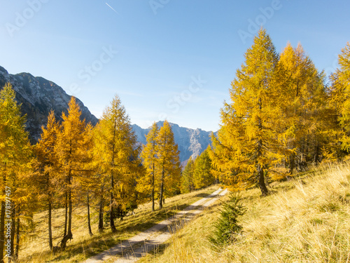 Autumn mountain landscape  Italy