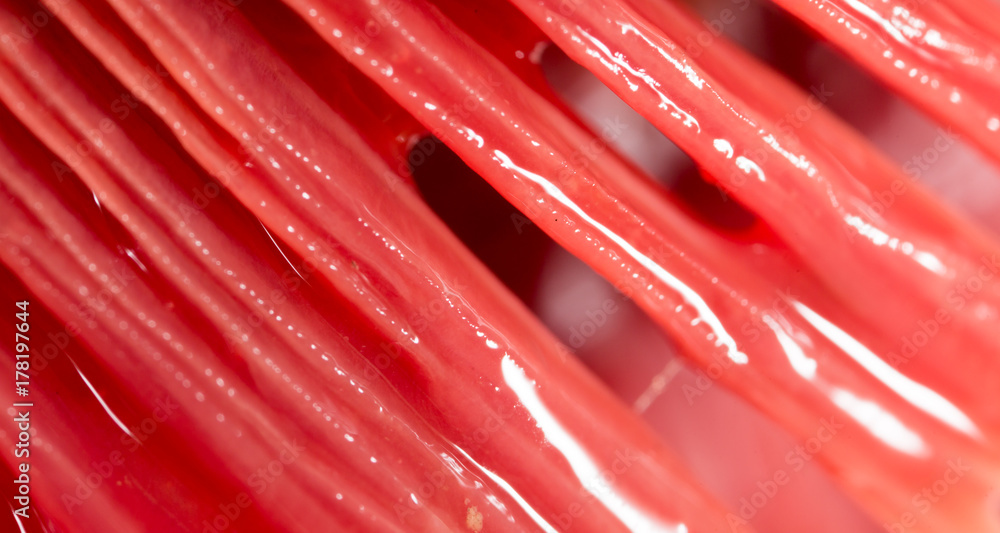 Fototapeta premium red gills of fish as background. macro