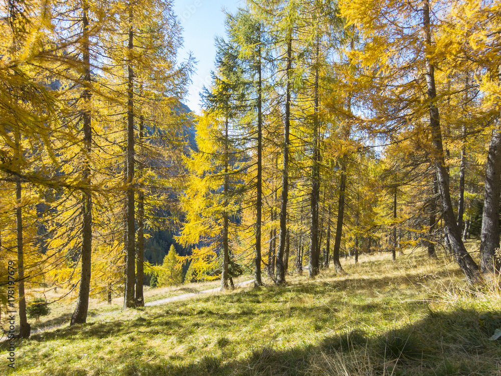 Fototapeta premium Autumn mountain landscape, Italy