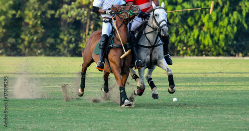 Horse Polo Player battle 