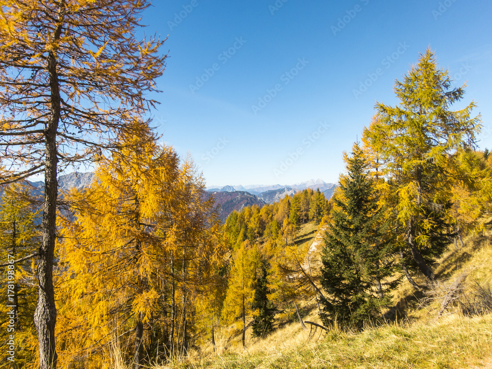 Autumn mountain landscape, Italy