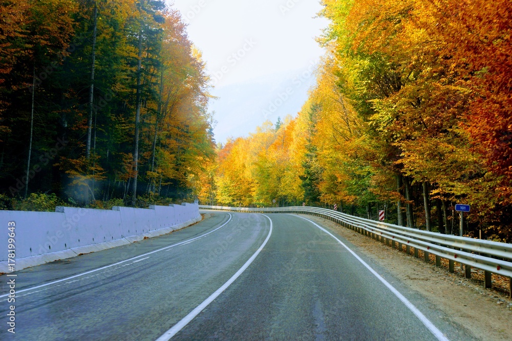 The road to the village of Dombai