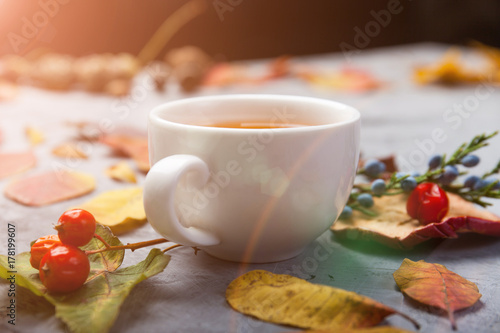 autumn composition cup of tea. autumn leaves on dark background